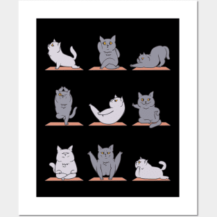 British Shorthair Cat Yoga Posters and Art